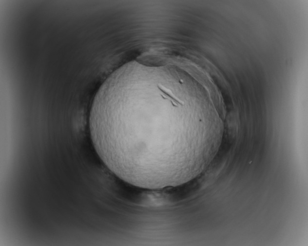 X0000096720372200802191533