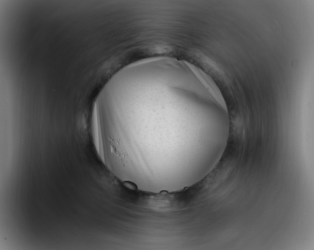 X0000096720373200802191533