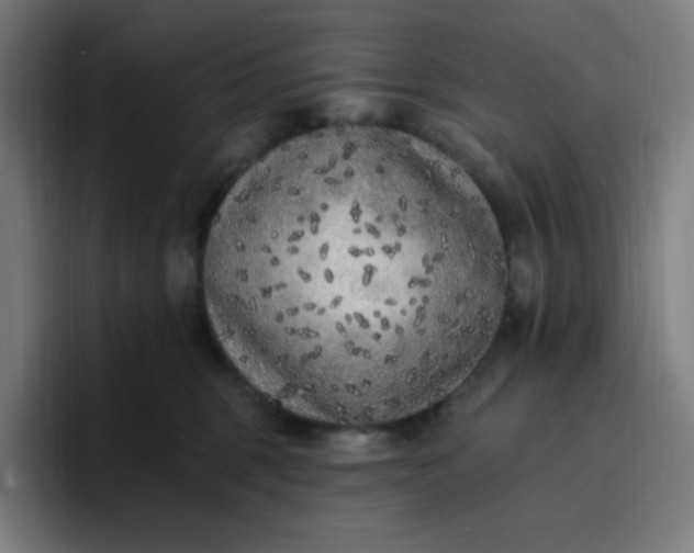 X0000096720375200802191533