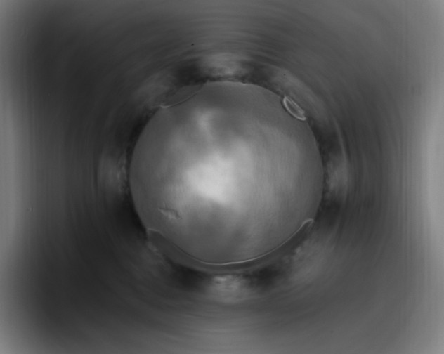 X0000096720376200802191533