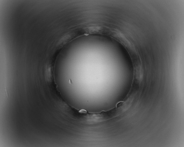 X0000096720378200802191533