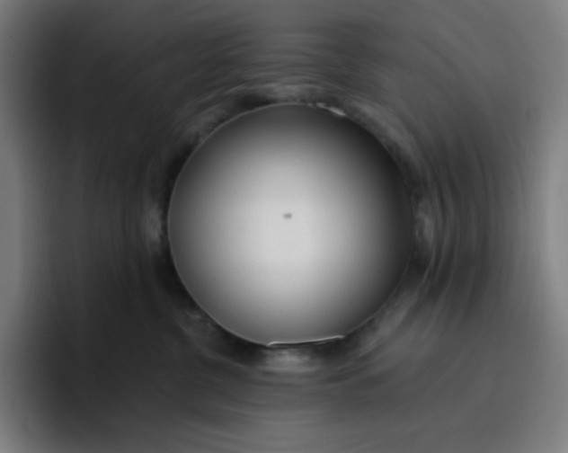 X0000096720380200802191533