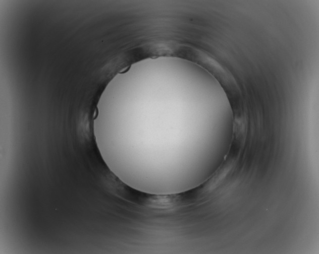 X0000096720381200802191533