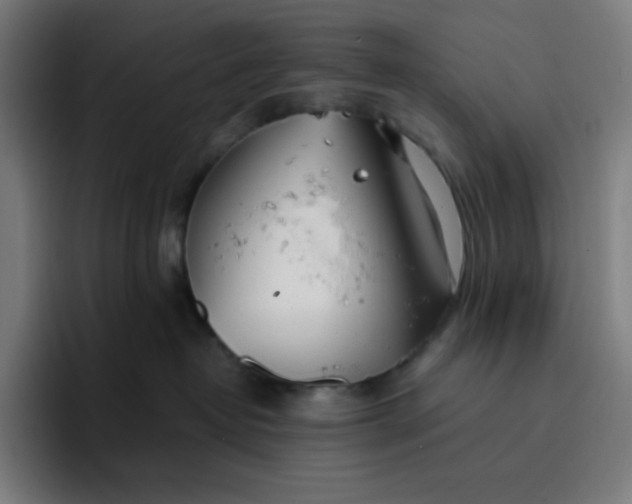 X0000096720382200802191533