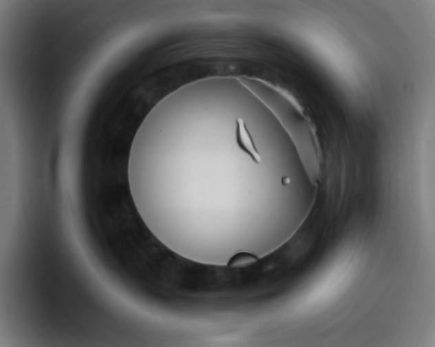 X0000096720383200802191533