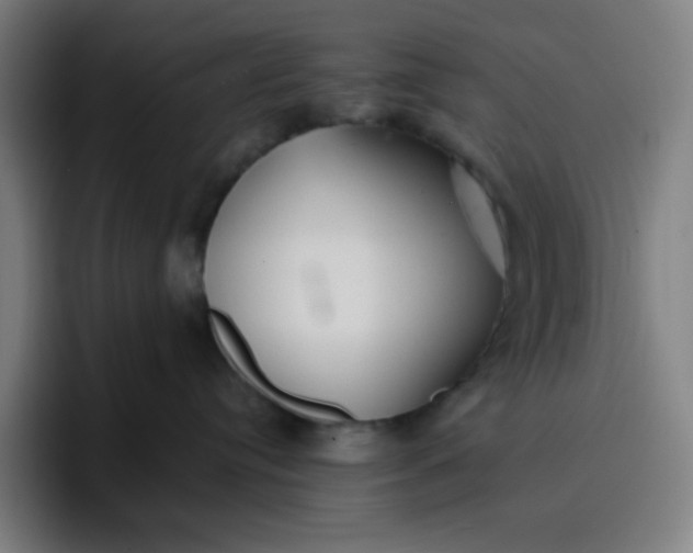 X0000096720384200802191533