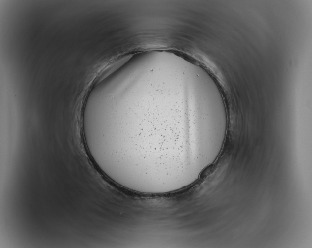 X0000096720385200802191532