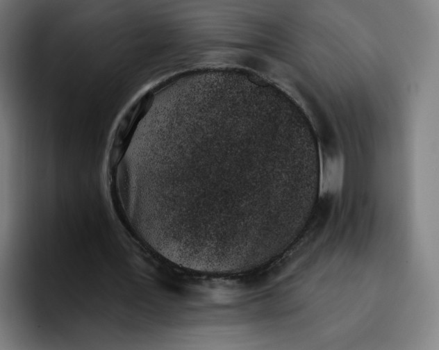 X0000096720387200802191532