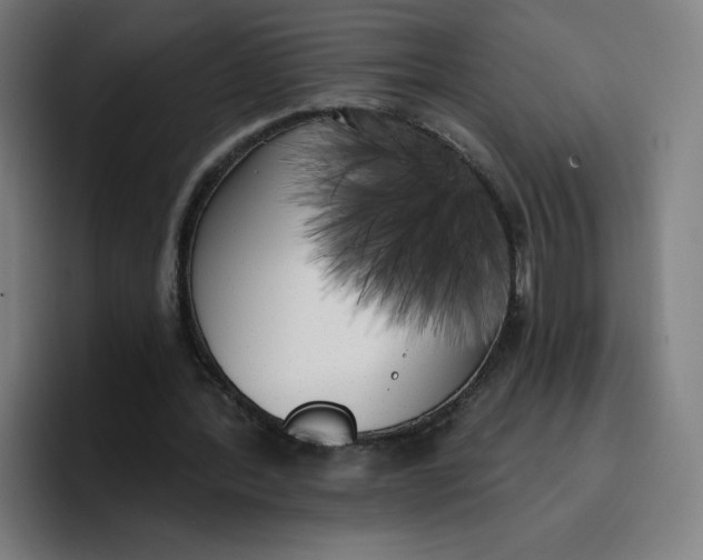 X0000096720388200802191532