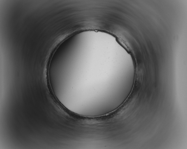 X0000096720389200802191532