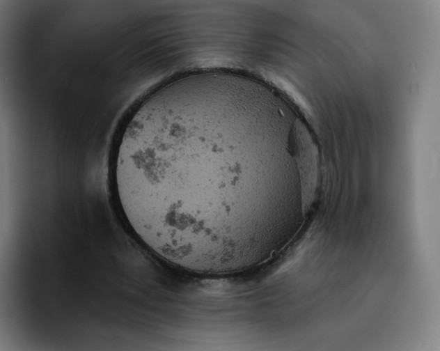 X0000096720391200802191532