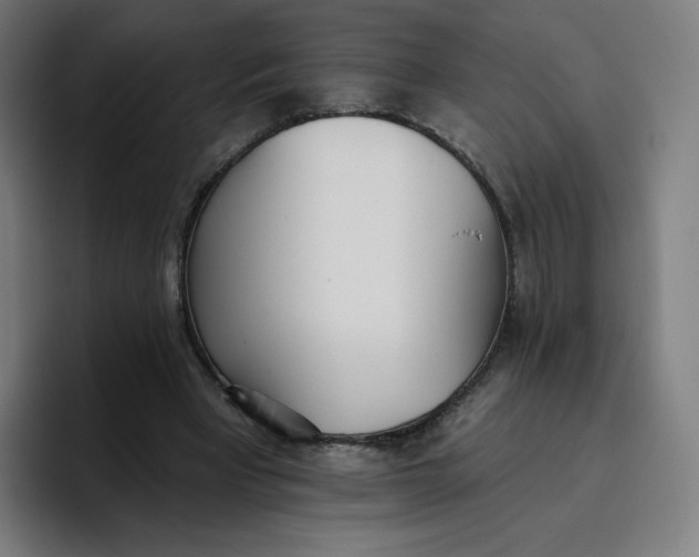 X0000096720393200802191532