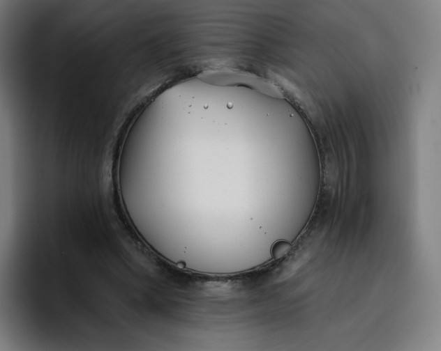 X0000096720394200802191532