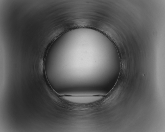 X0000096720397200802191532