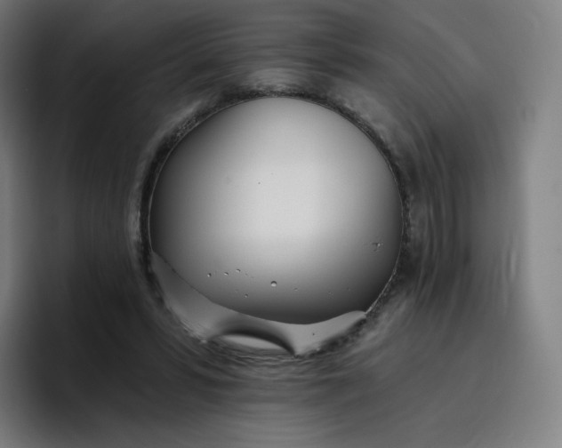 X0000096720399200802191532