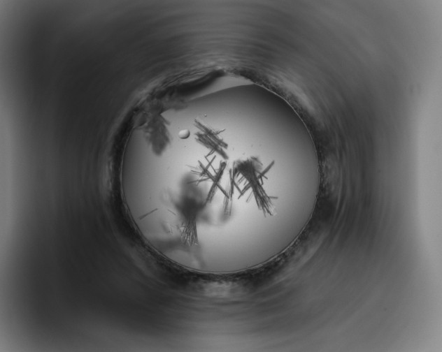 X0000096720400200802191532