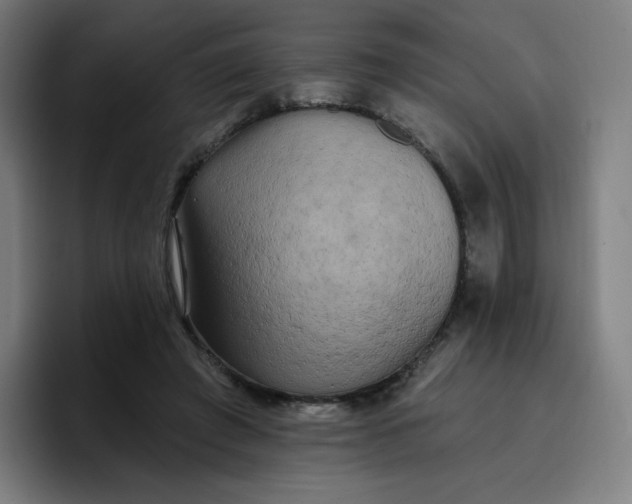 X0000096720401200802191532