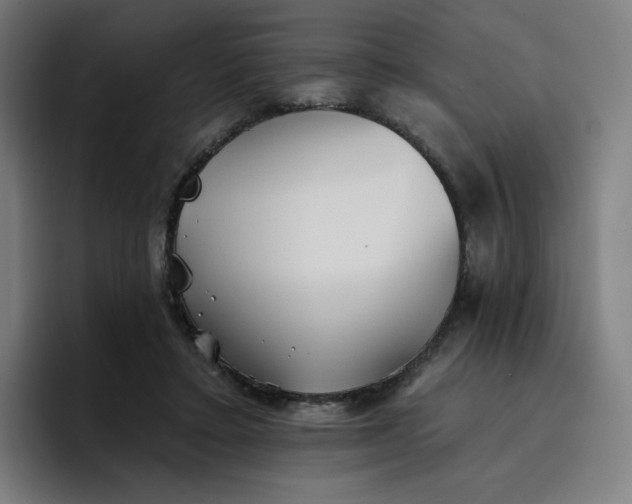 X0000096720403200802191532