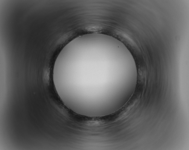 X0000096720404200802191532