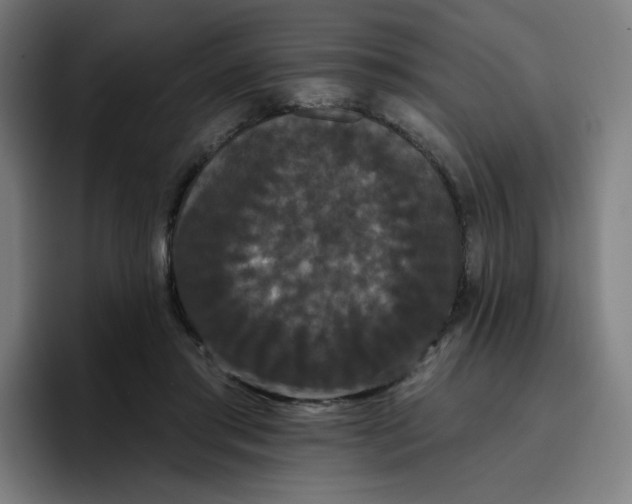 X0000096720405200802191532