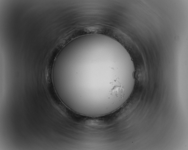 X0000096720408200802191532