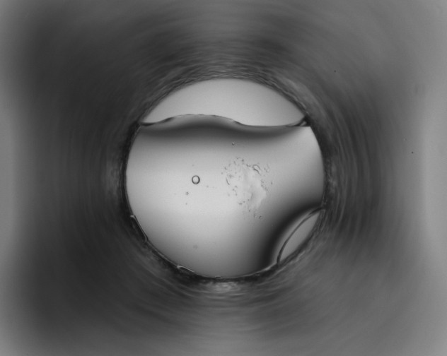 X0000096720409200802191532