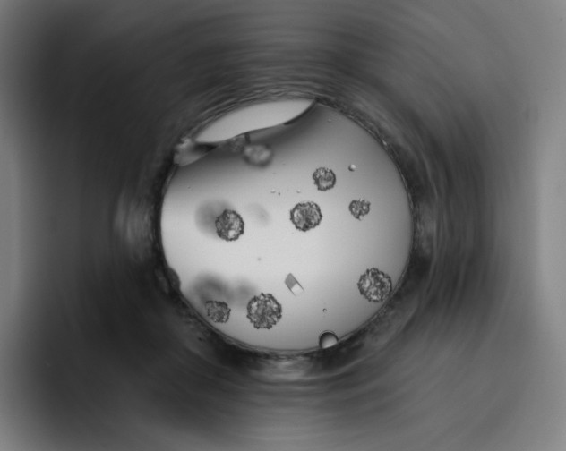 X0000096720410200802191532