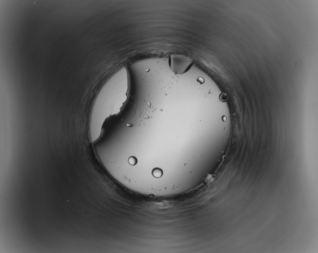 X0000096720411200802191532