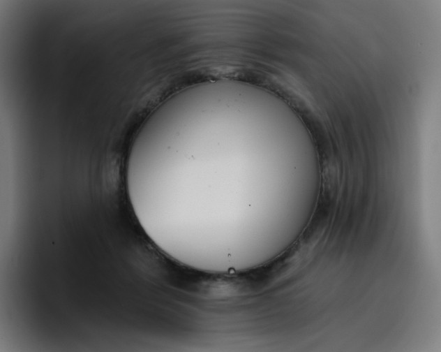 X0000096720412200802191532