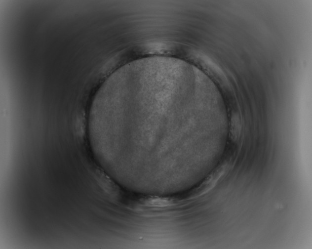 X0000096720413200802191532