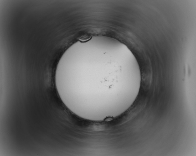 X0000096720416200802191532