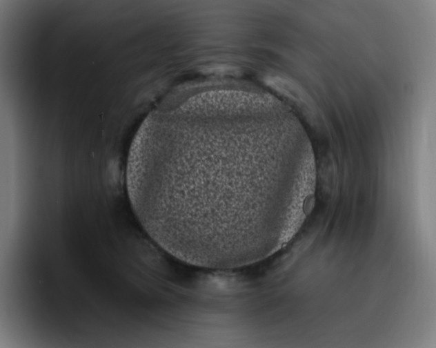 X0000096720420200802191532