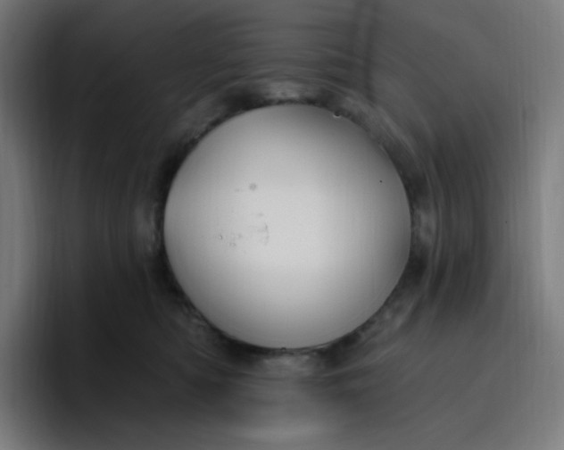 X0000096720422200802191532