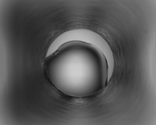 X0000096720423200802191532