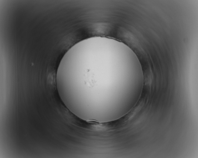 X0000096720425200802191532