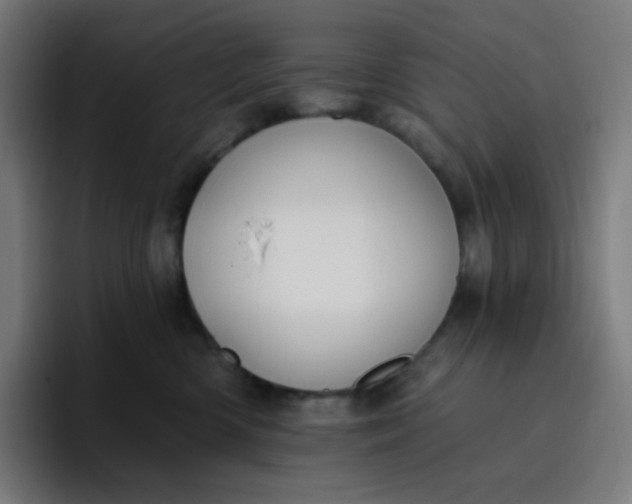 X0000096720426200802191532