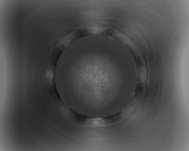 X0000096720427200802191532