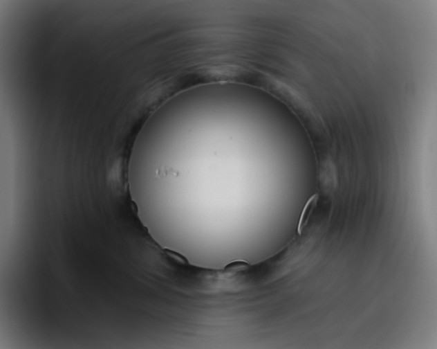 X0000096720428200802191532