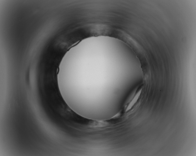 X0000096720429200802191532