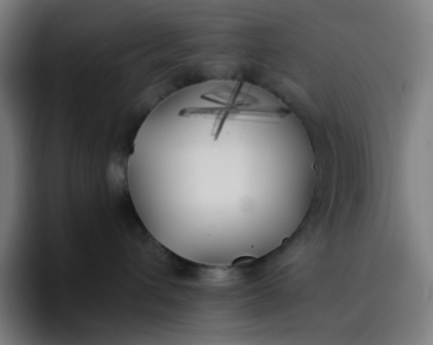 X0000096720432200802191532