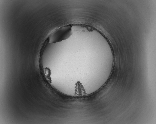 X0000096720434200802191531