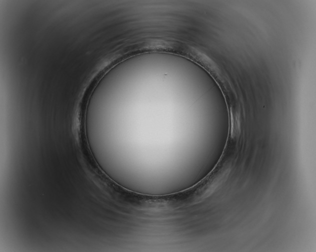 X0000096720435200802191531