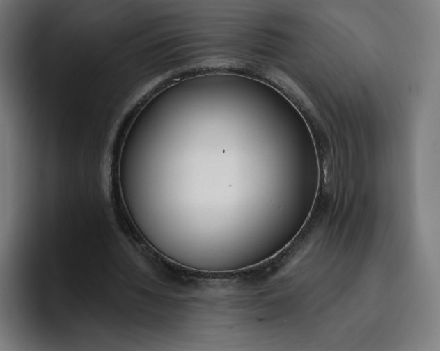 X0000096720436200802191531