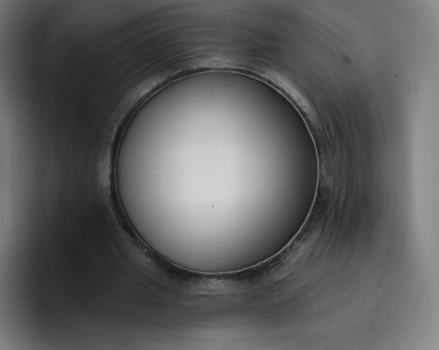 X0000096720437200802191531