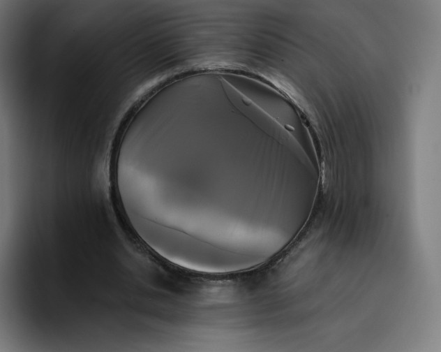 X0000096720438200802191531