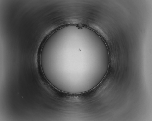 X0000096720439200802191531