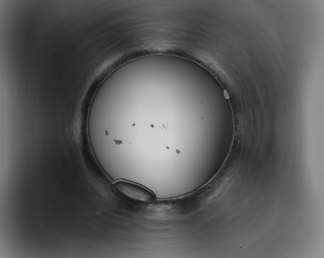 X0000096720440200802191531