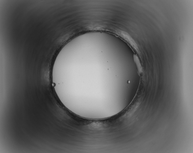 X0000096720441200802191531