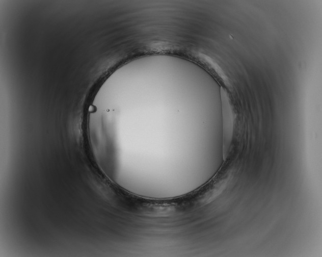 X0000096720443200802191531