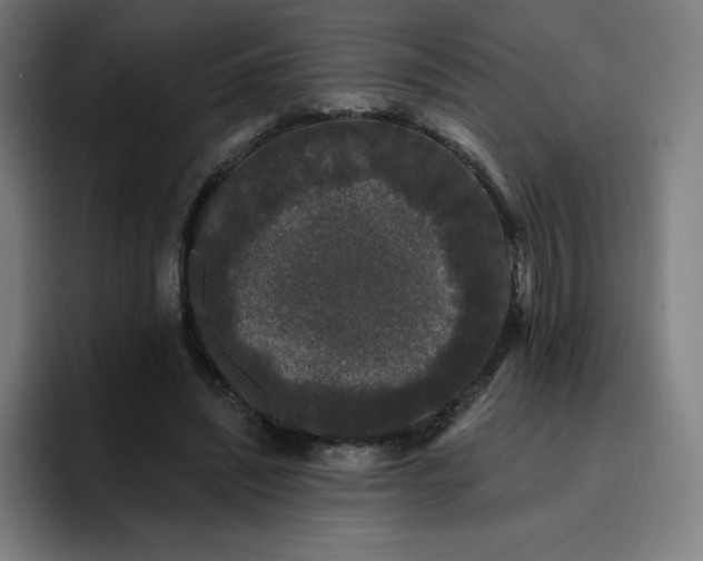 X0000096720444200802191531